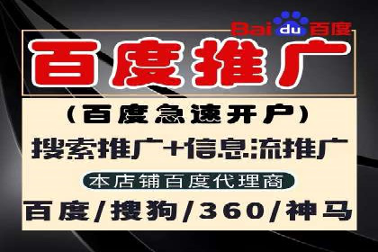 百度竞价推广实战：某电商平台的销售增长秘诀